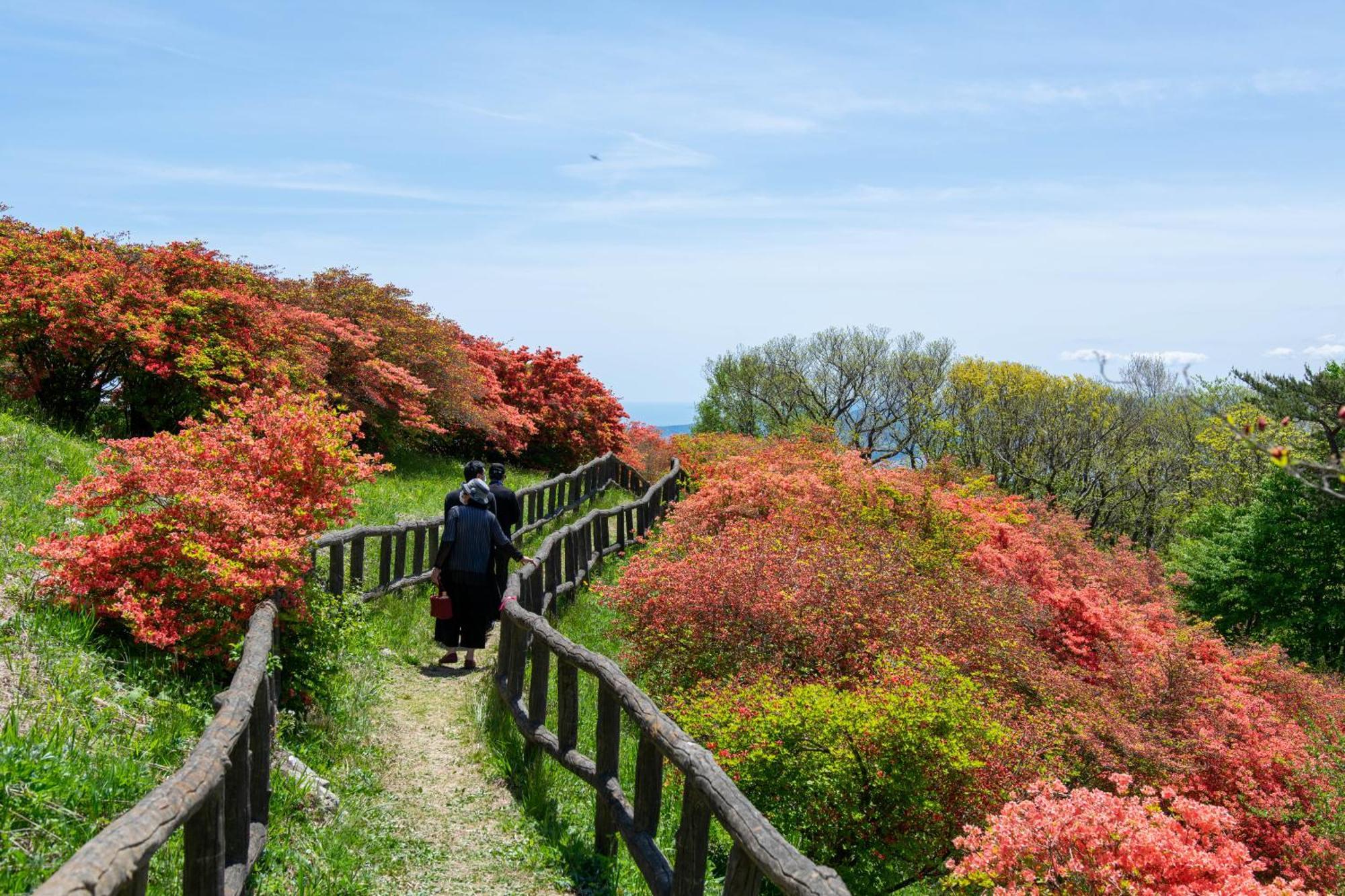 Minami Sanriku Hotel Kanyo Shizugawa Eksteriør bilde